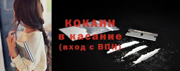 твердый Аркадак