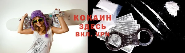 дживик Арсеньев