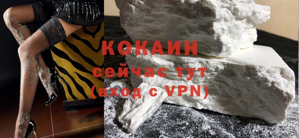твердый Аркадак