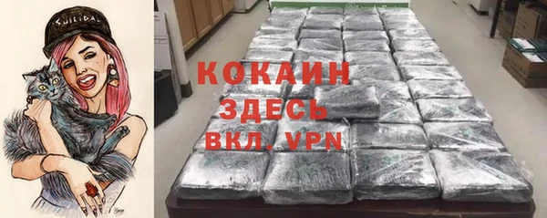 дживик Арсеньев
